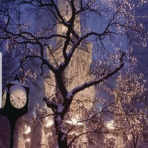 Meet your Posher, Crystal